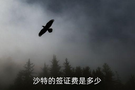 沙特阿拉伯簽證，沙特的簽證費是多少