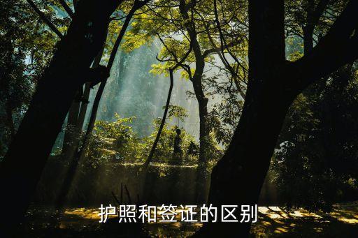 護(hù)照簽證區(qū)別，請(qǐng)問(wèn)護(hù)照和簽證的區(qū)別謝謝