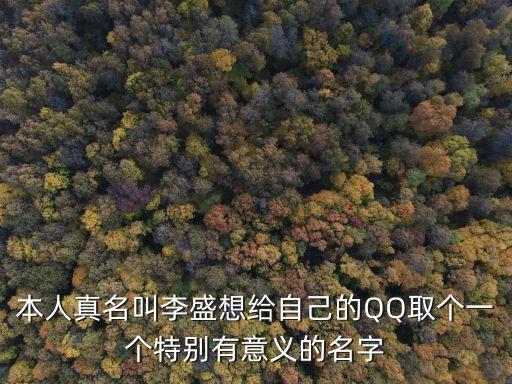 本人真名叫李盛想給自己的QQ取個(gè)一個(gè)特別有意義的名字