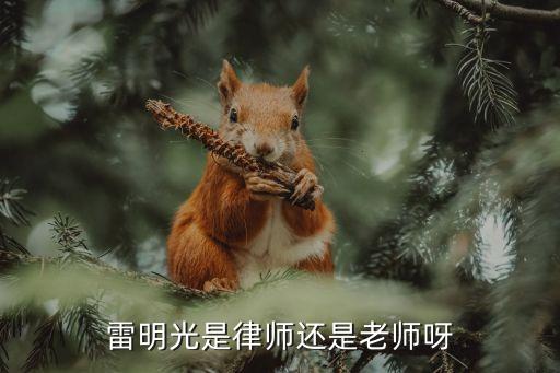 雷明光，雷明光是律師還是老師呀