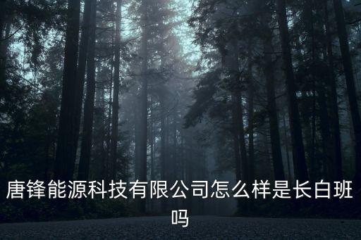 唐鋒，唐鋒能源科技有限公司怎么樣是長白班嗎