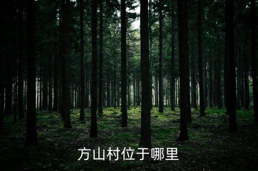 方山村，方山村位于哪個省哪個市