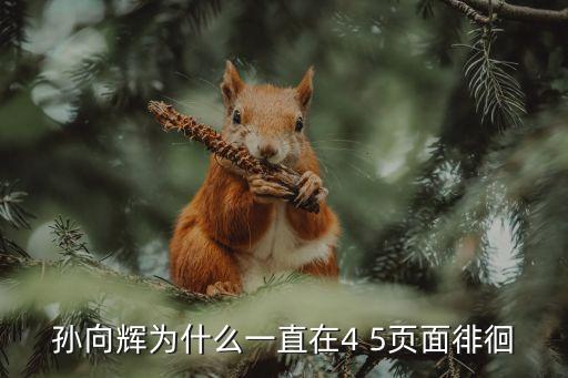 孫向輝為什么一直在4 5頁面徘徊