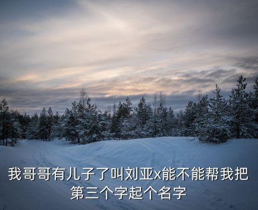 劉亞亮，我哥哥有兒子了叫劉亞x能不能幫我把第三個(gè)字起個(gè)名字
