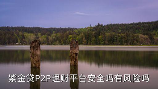紫金貸，紫金貸P2P理財平臺安全嗎有風(fēng)險嗎紫金貸平臺會不會跑路