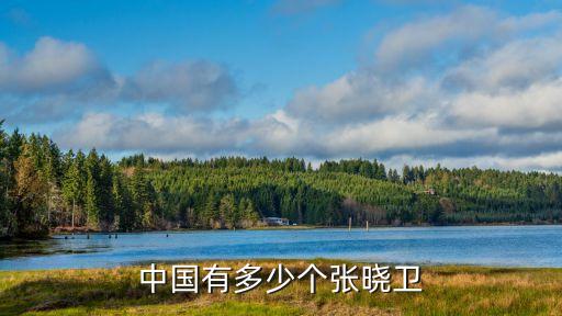 中國(guó)有多少個(gè)張曉衛(wèi)