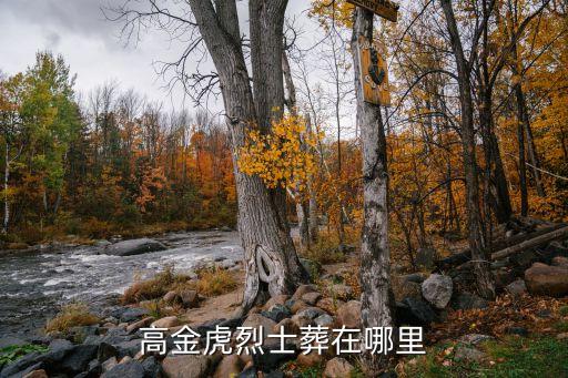 高金虎，高金虎烈士葬在哪里
