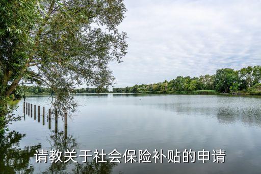 社保補貼怎么申請，請教關(guān)于社會保險補貼的申請