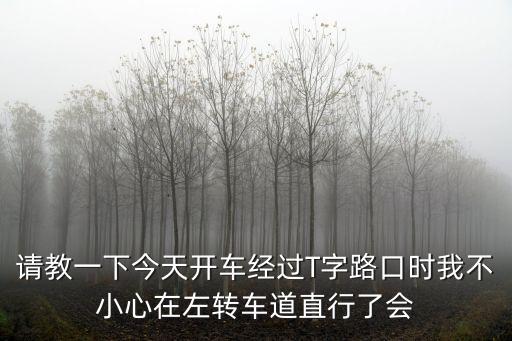 請教一下今天開車經(jīng)過T字路口時我不小心在左轉(zhuǎn)車道直行了會