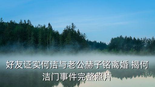 好友證實何潔與老公赫子銘離婚 揭何潔門事件完整照片