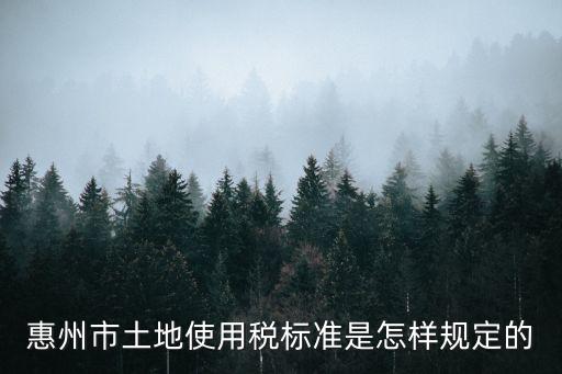 惠州地稅，惠州市地方稅務局在哪