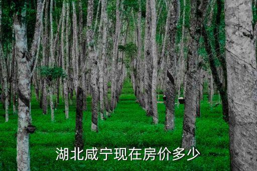 咸寧房產(chǎn)，湖北咸寧現(xiàn)在房價多少