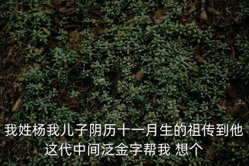 我姓楊我兒子陰歷十一月生的祖?zhèn)鞯剿@代中間泛金字幫我 想個(gè)