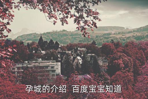 孕城，孕城的介紹  百度寶寶知道