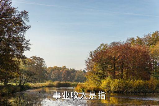 事業(yè)收入是指，事業(yè)收入是指