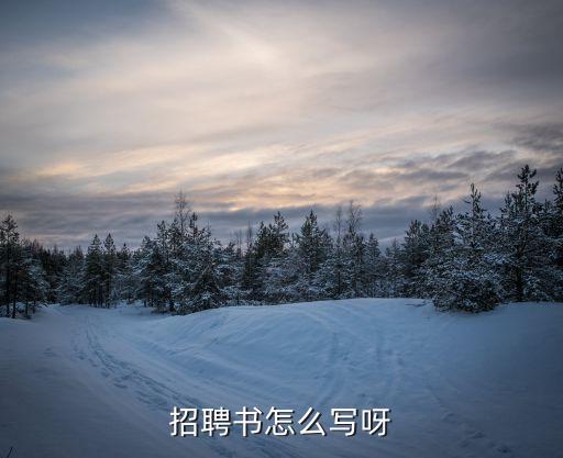 招書，招聘書怎么寫呀