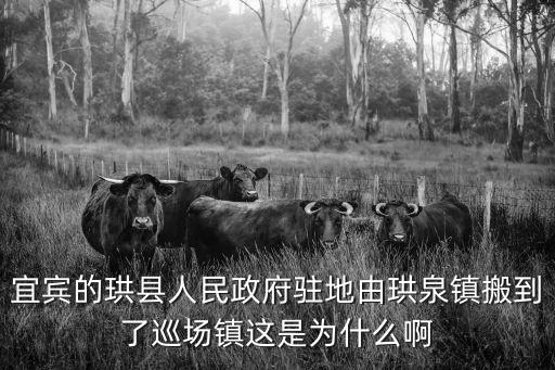 宜賓的珙縣人民政府駐地由珙泉鎮(zhèn)搬到了巡場鎮(zhèn)這是為什么啊