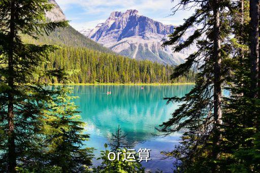 or運(yùn)算