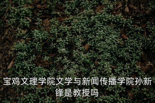寶雞文理學(xué)院文學(xué)與新聞傳播學(xué)院孫新鋒是教授嗎