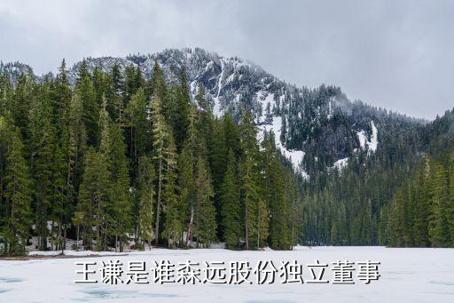 王謙，王謙是誰森遠股份獨立董事