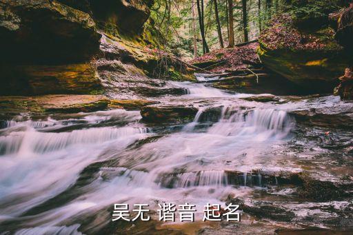 吳無 諧音 起名