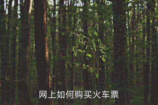 網(wǎng)上如何購買火車票