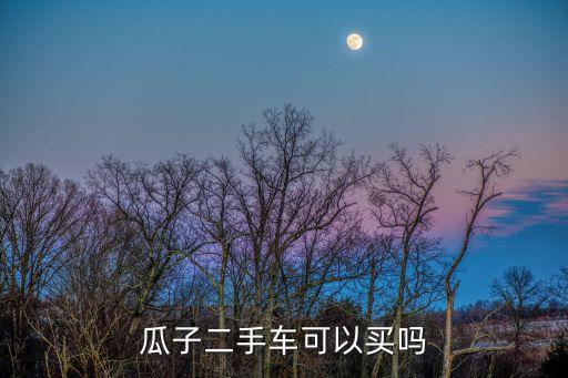 瓜子二手車可以買嗎