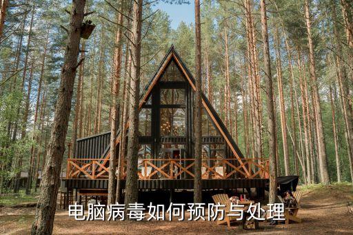 電腦病毒如何預(yù)防與處理