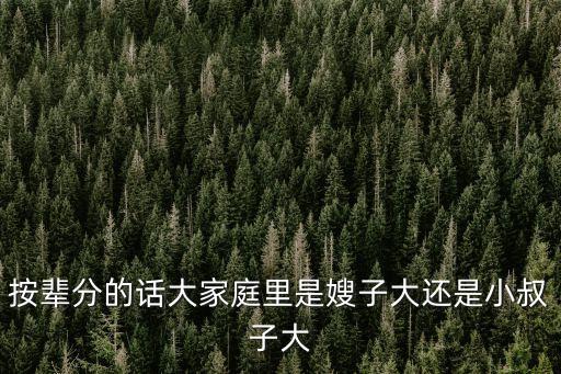按輩分的話大家庭里是嫂子大還是小叔子大