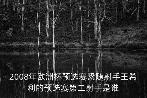 2008年歐洲杯預(yù)選賽緊隨射手王希利的預(yù)選賽第二射手是誰