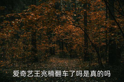 愛(ài)奇藝王兆楠翻車了嗎是真的嗎