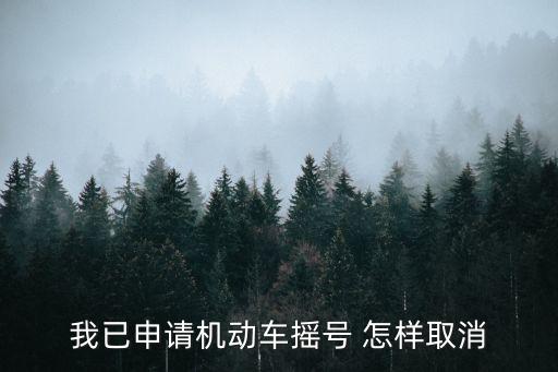 北京取消搖號，如何退出小客車指標(biāo)搖號申請