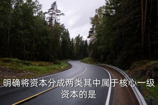 核心一級資本，金融機構的核心一級資本包括