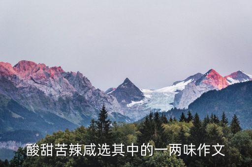 酸甜苦辣咸選其中的一兩味作文