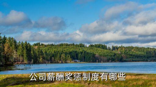 公司獎懲制度，公司的獎罰制度