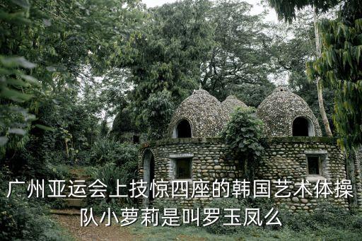 廣州亞運會上技驚四座的韓國藝術(shù)體操隊小蘿莉是叫羅玉鳳么