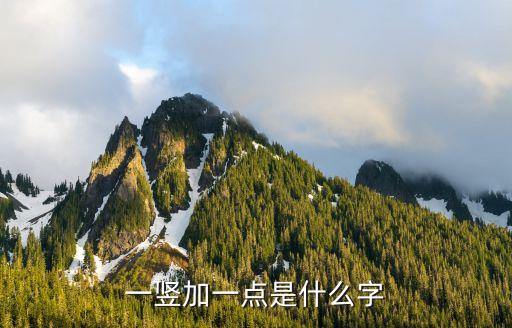 一個豎一個點，一豎加一點是什么字
