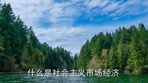 社會(huì)主義市場(chǎng)經(jīng)濟(jì)，什么是社會(huì)主義市場(chǎng)經(jīng)濟(jì)