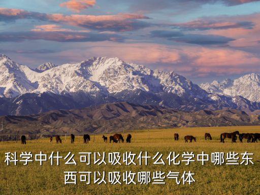 什么可以什么，啥可以組什么詞