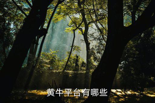 黃牛網(wǎng)站，黃牛平臺有哪些
