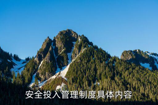安全投入保障制度，安全投入管理制度具體內(nèi)容