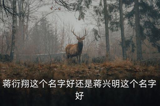 蔣興明，蔣衍翔這個(gè)名字好還是蔣興明這個(gè)名字好