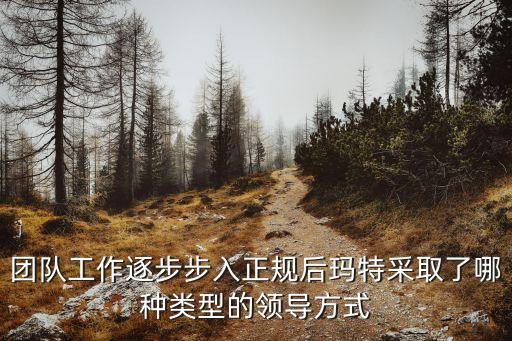 后瑪特，團隊工作逐步步入正規(guī)后瑪特采取了哪種類型的領(lǐng)導(dǎo)方式