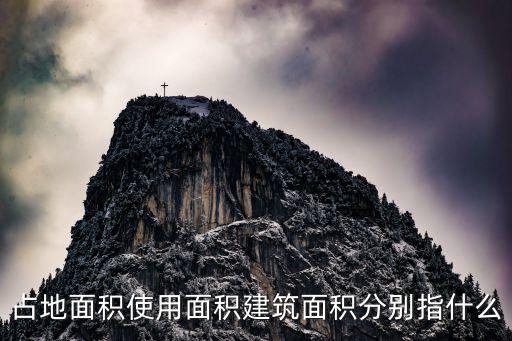 土地使用面積，土地使用證上的面積是指