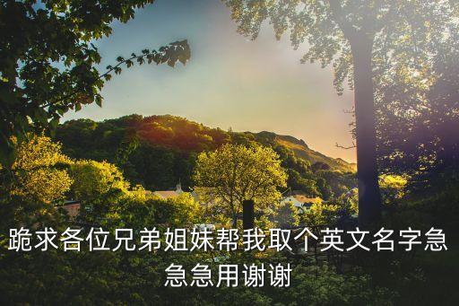 張定軍，跪求各位兄弟姐妹幫我取個(gè)英文名字急急急用謝謝