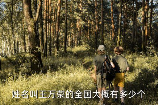 王萬榮，王萬榮的藝術(shù)簽名怎么簽