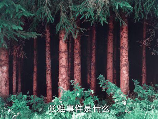 張雅事件是什么