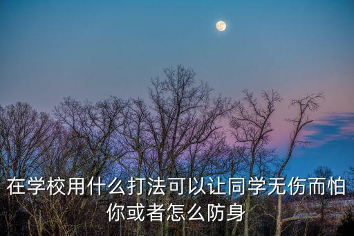 在學校用什么打法可以讓同學無傷而怕你或者怎么防身