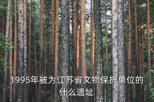 劉志洲，1995年被為江蘇省文物保護(hù)單位的什么遺址
