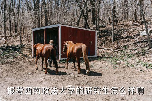 孫長永，報考西南政法大學(xué)的研究生怎么樣啊